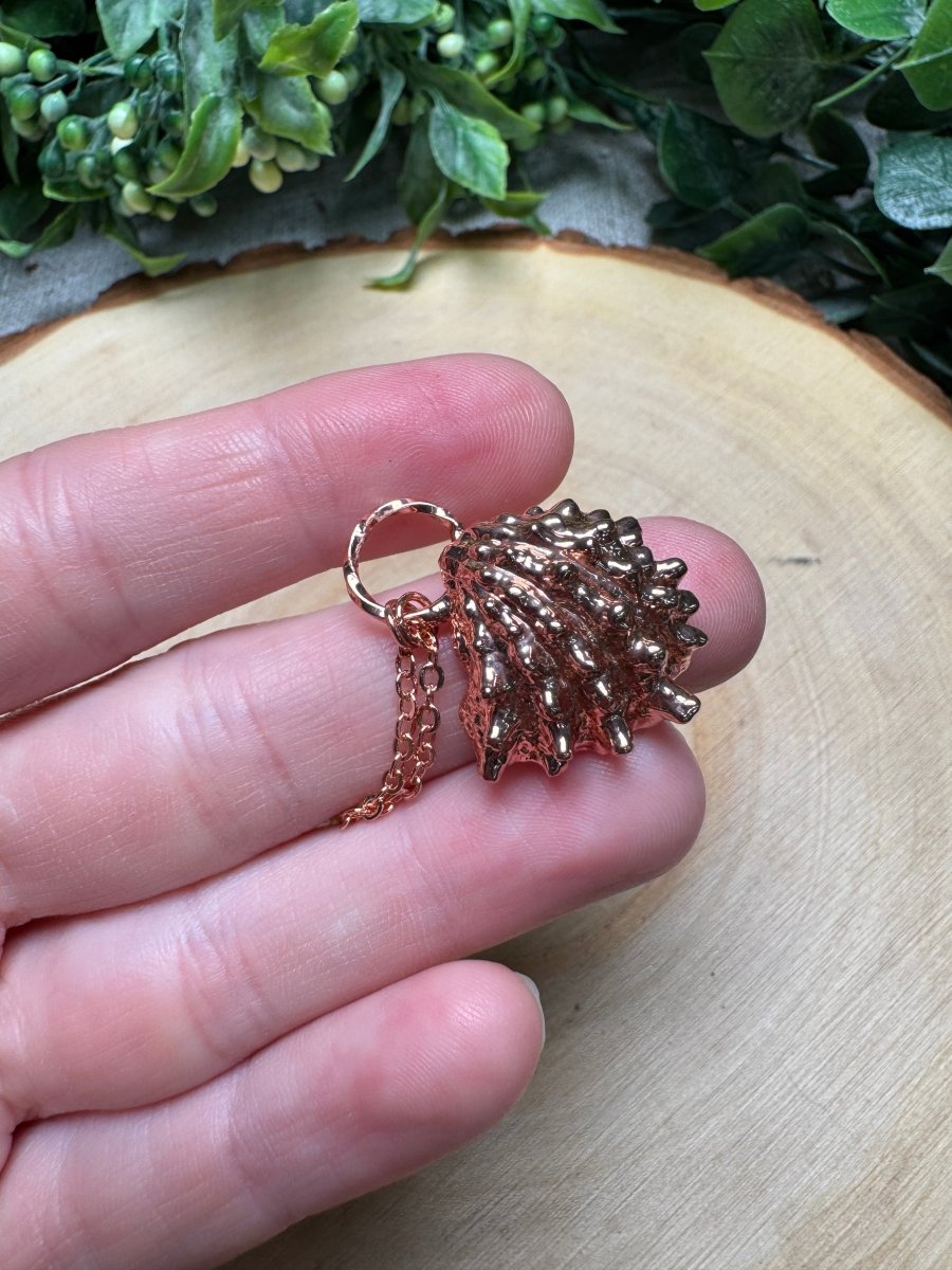 Spiny Jewel Box Shell Necklace | Copper Ashes