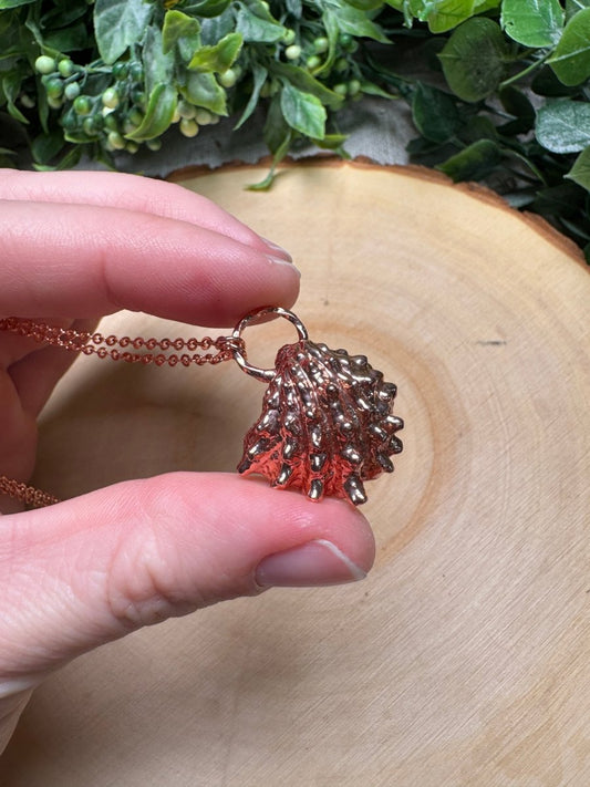 Spiny Jewel Box Shell Necklace | Copper Ashes
