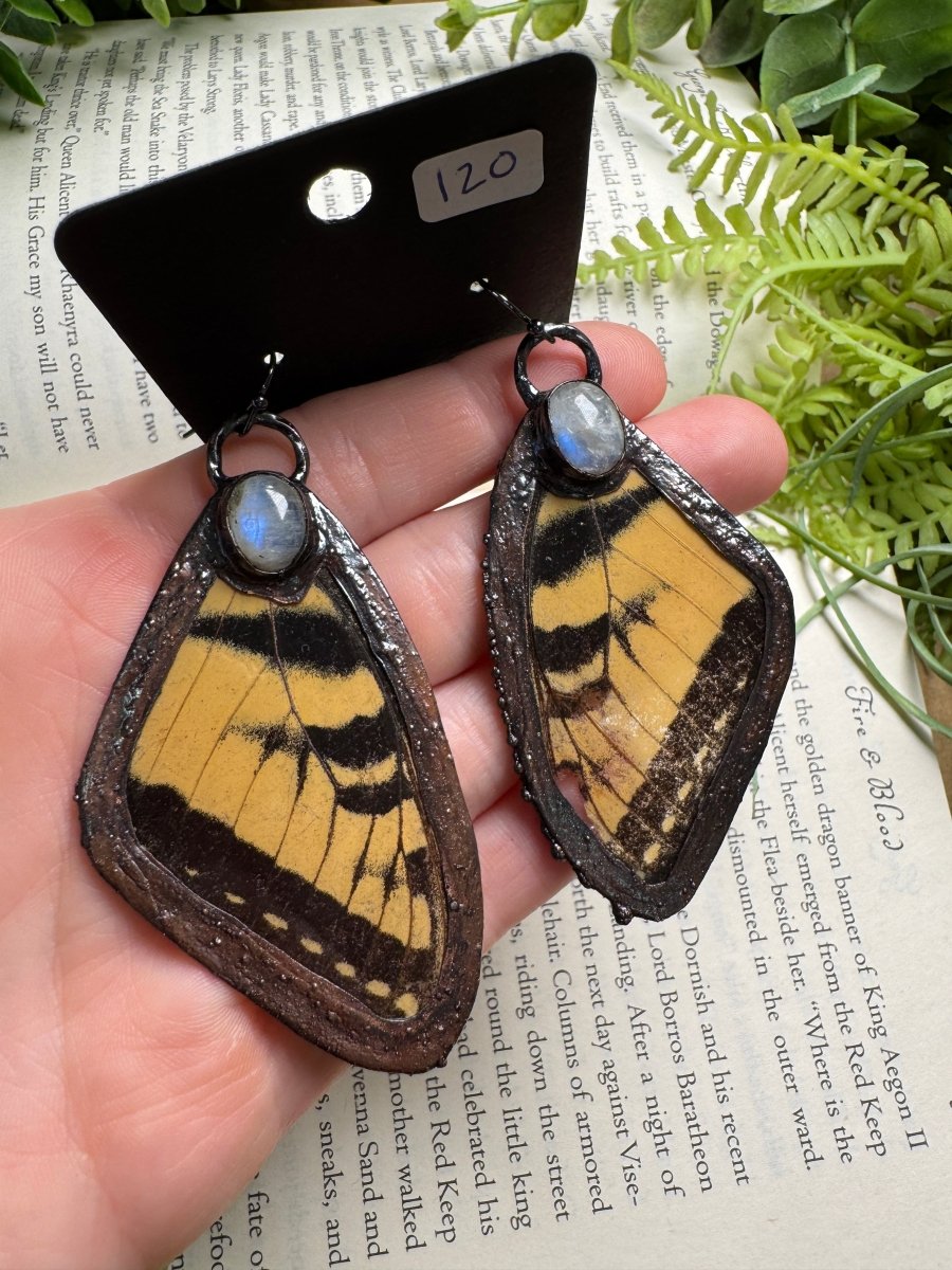 Tiger Swallowtail Butterfly Wing and Moonstone Earrings | Copper Ashes