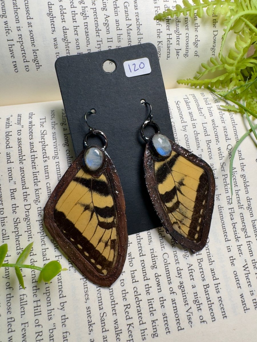 Tiger Swallowtail Butterfly Wing and Moonstone Earrings | Copper Ashes