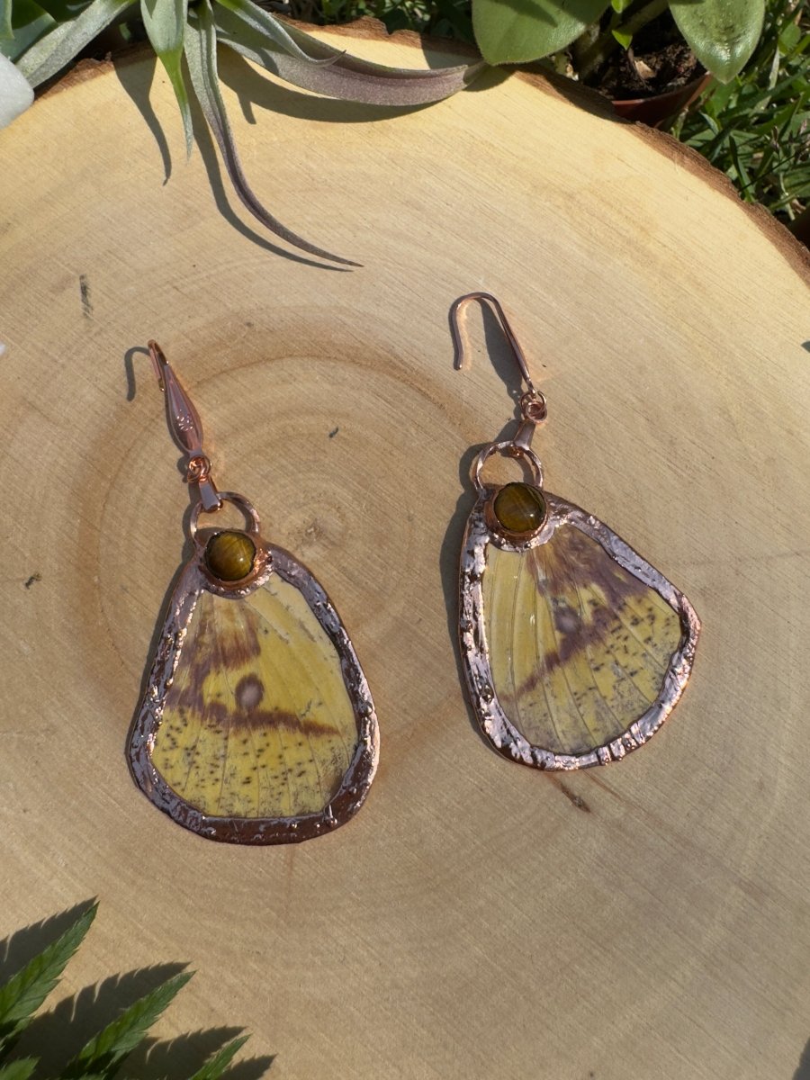 Tigers Eye and Imperial Moth Wing Earrings | Copper Ashes