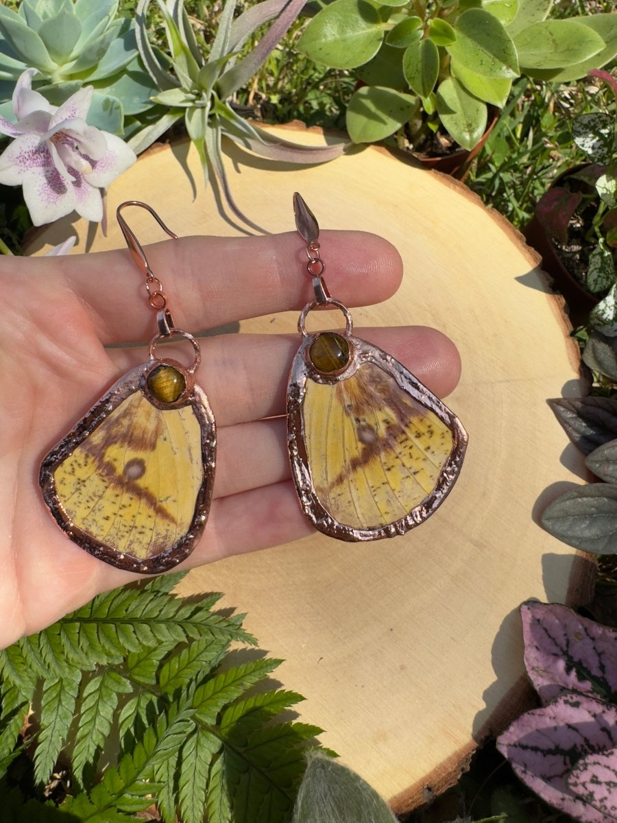 Tigers Eye and Imperial Moth Wing Earrings | Copper Ashes