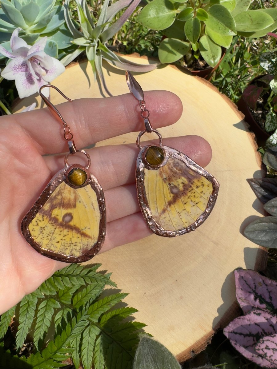 Tigers Eye and Imperial Moth Wing Earrings | Copper Ashes