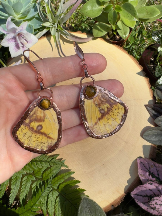 Tigers Eye and Imperial Moth Wing Earrings | Copper Ashes
