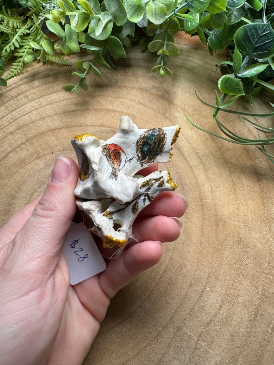 Vertebrae- Hand Decorated | Copper Ashes