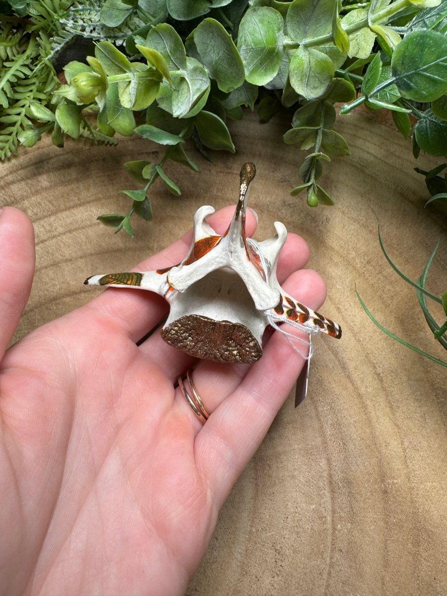 Vertebrae- Hand Decorated | Copper Ashes