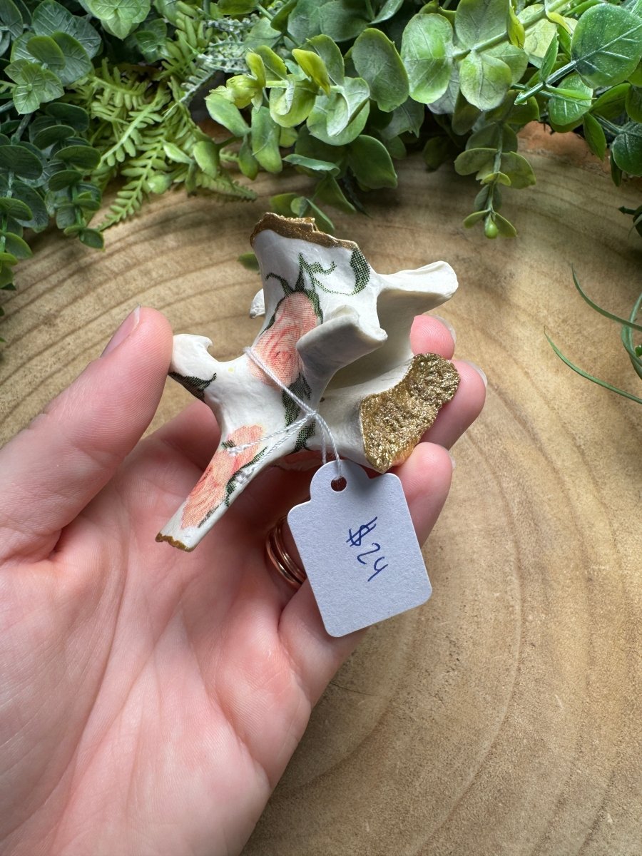 Vertebrae- Hand Decorated | Copper Ashes