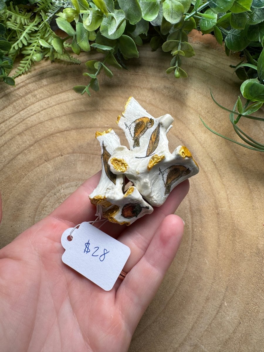 Vertebrae- Hand Decorated | Copper Ashes