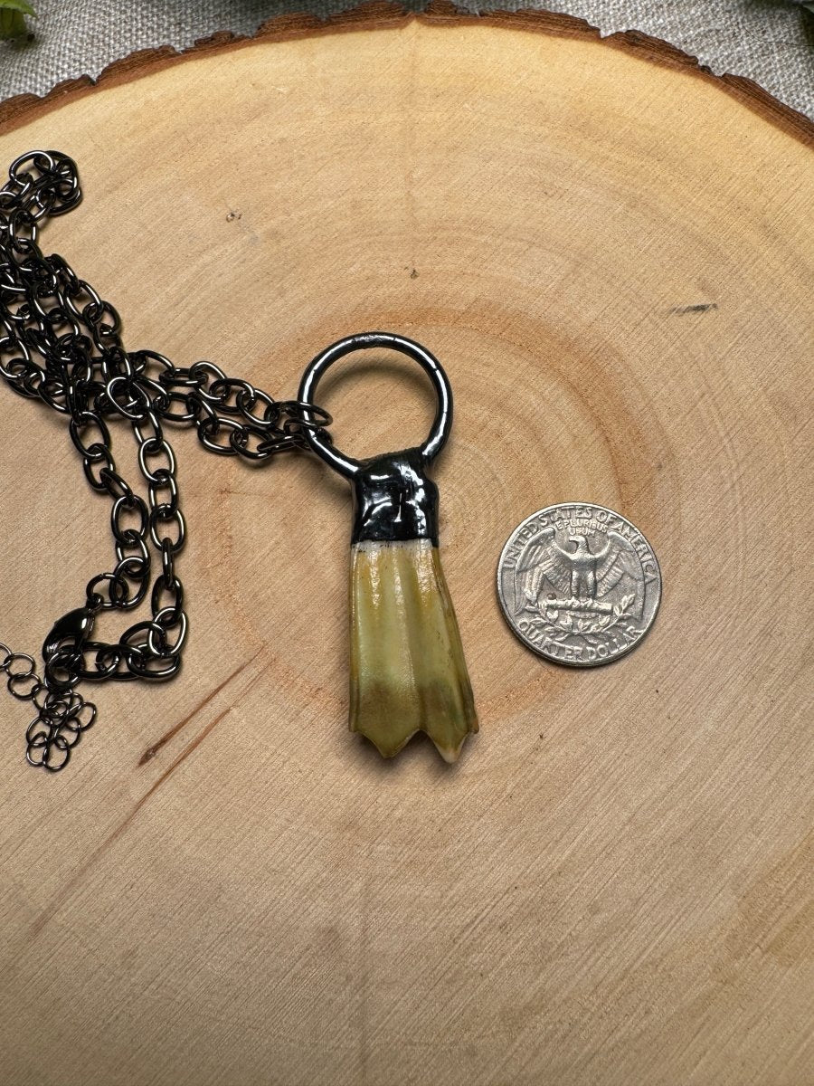 Vespera - Goat Tooth Necklace | Copper Ashes