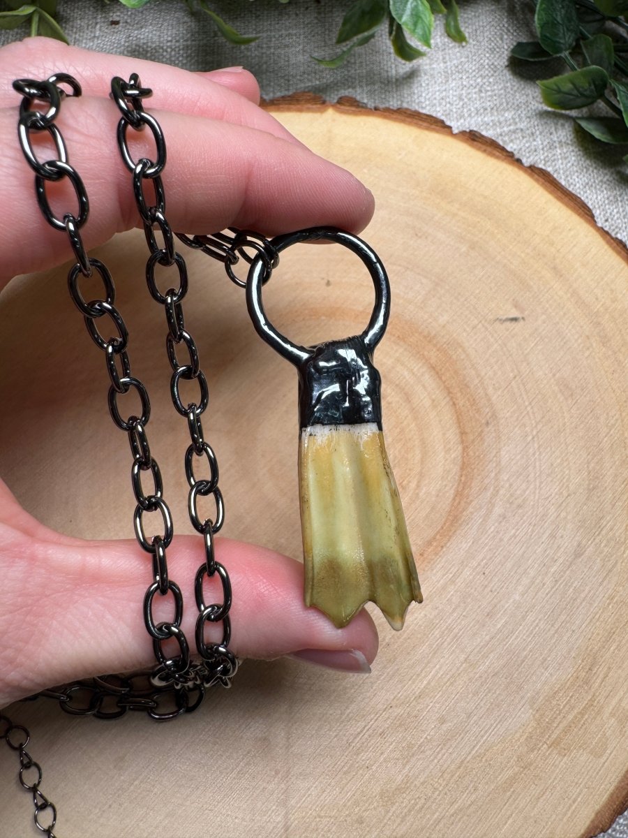 Vespera - Goat Tooth Necklace | Copper Ashes