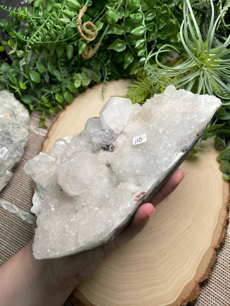 XL Apophyllite Cluster | Copper Ashes
