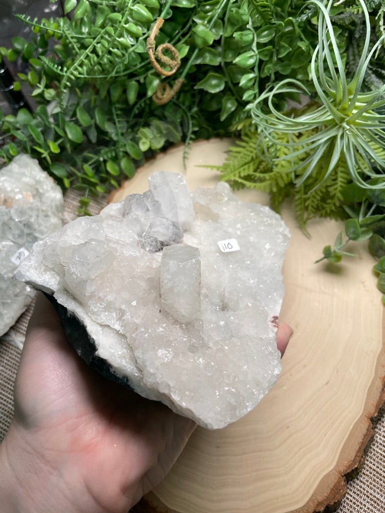 XL Apophyllite Cluster | Copper Ashes