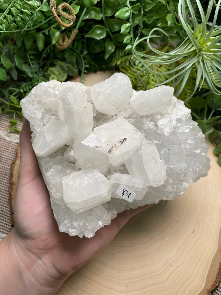 XL Apophyllite Cluster | Copper Ashes