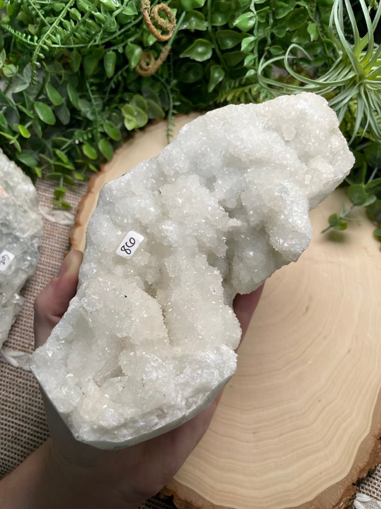 XL Apophyllite Cluster | Copper Ashes