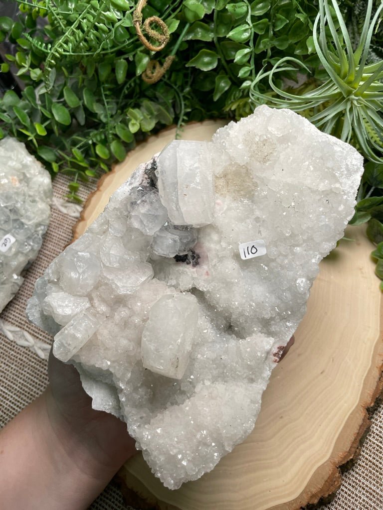 XL Apophyllite Cluster | Copper Ashes