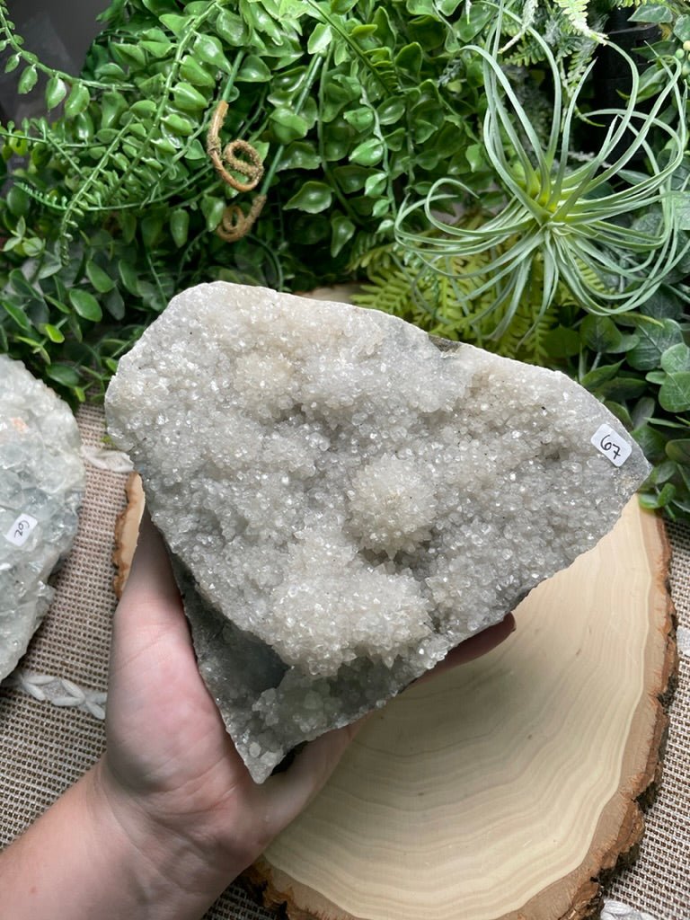XL Apophyllite Cluster | Copper Ashes