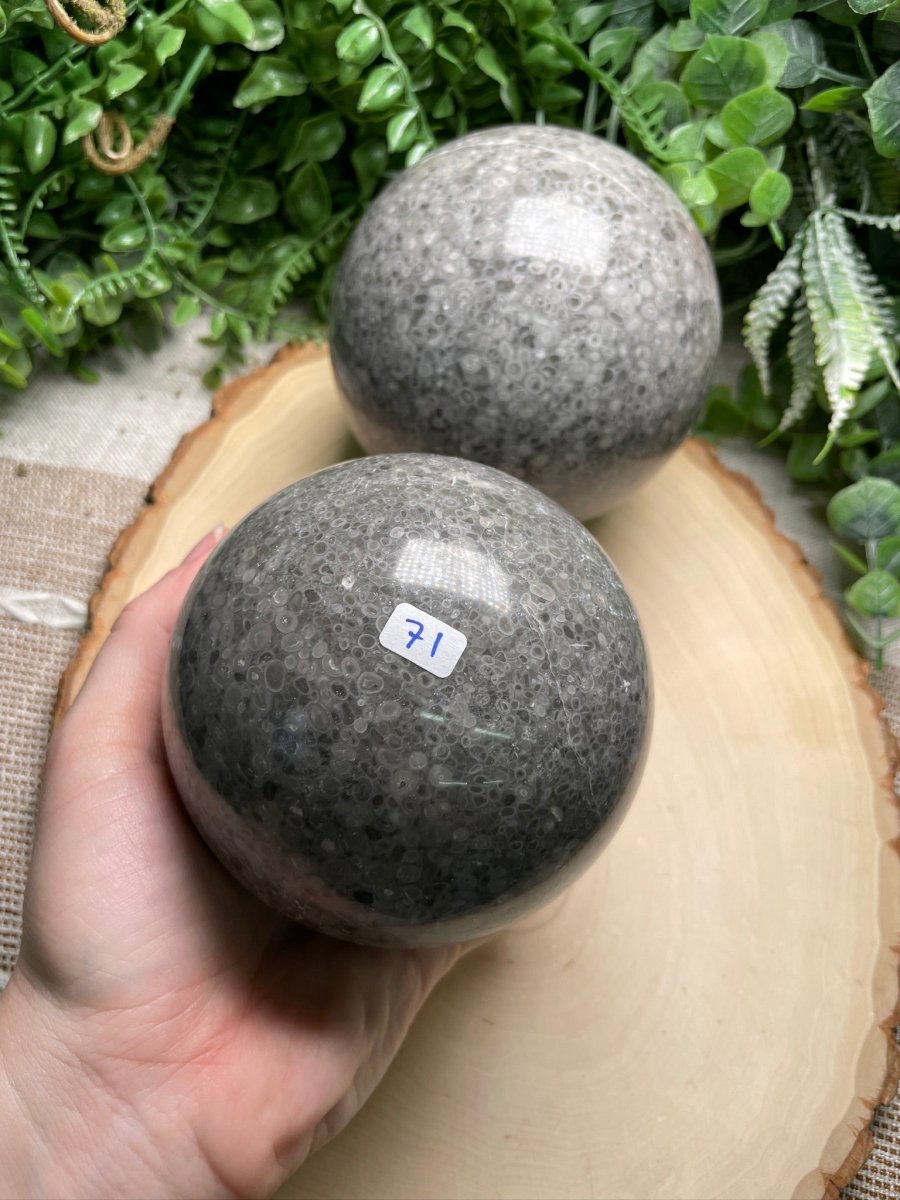 XL Fossilized Coral Sphere | Copper Ashes