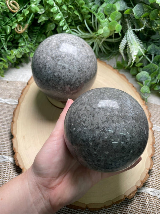 XL Fossilized Coral Sphere | Copper Ashes