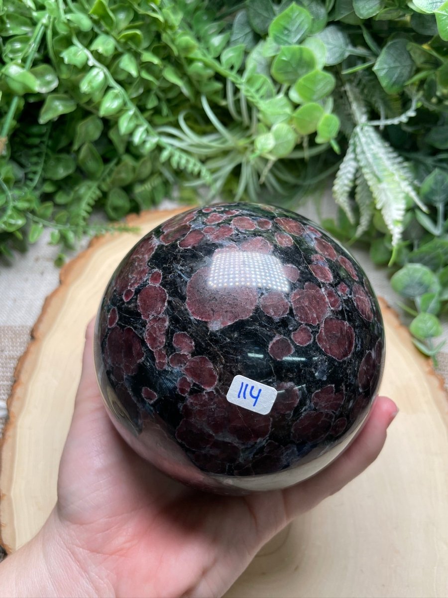 XL Garnet in Astrophyllite Sphere | Copper Ashes