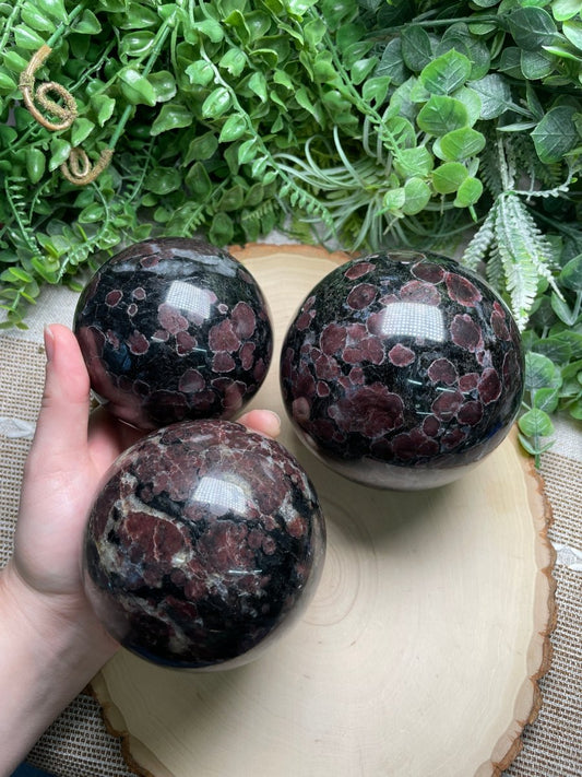 XL Garnet in Astrophyllite Sphere | Copper Ashes