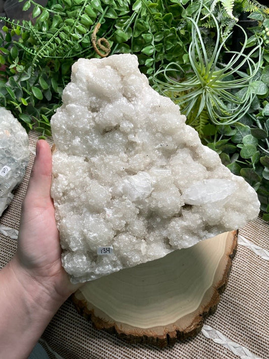 XXL Apophyllite Cluster | Copper Ashes