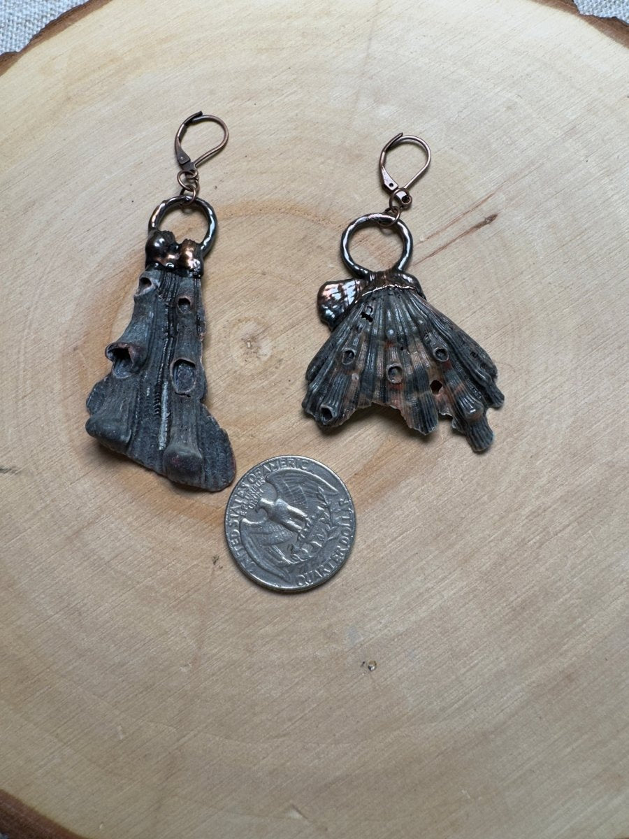 Zepar - Lion Paw Scallop Shell Piece Earrings | Copper Ashes