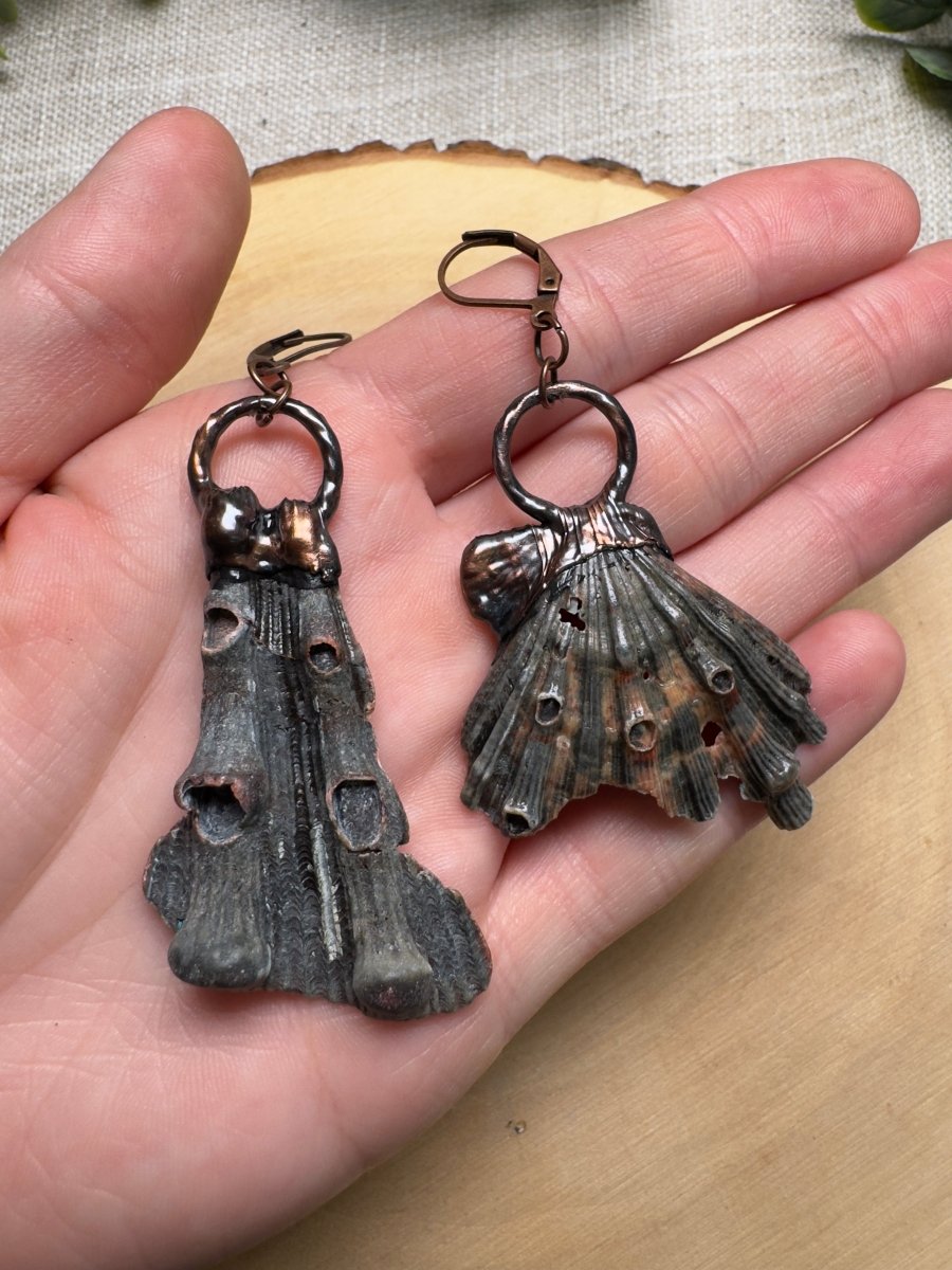 Zepar - Lion Paw Scallop Shell Piece Earrings | Copper Ashes