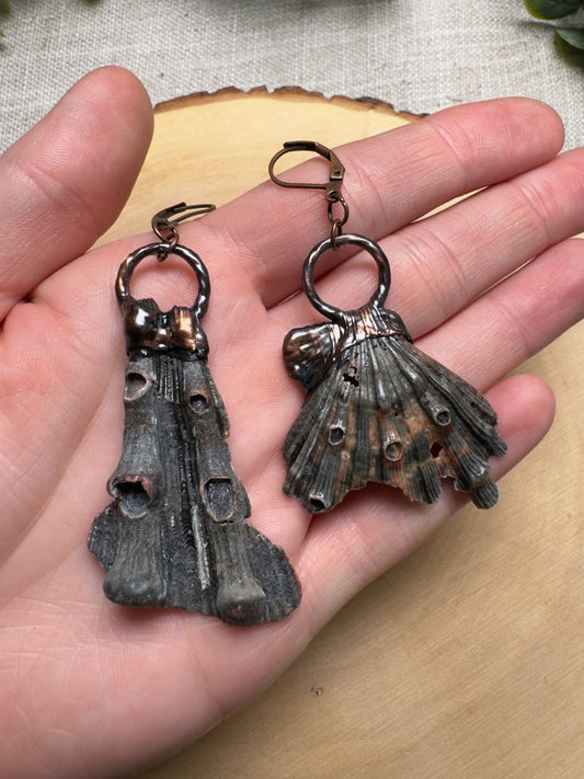 Zepar - Lion Paw Scallop Shell Piece Earrings | Copper Ashes