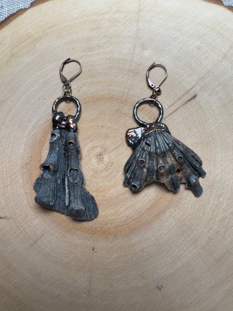 Zepar - Lion Paw Scallop Shell Piece Earrings | Copper Ashes