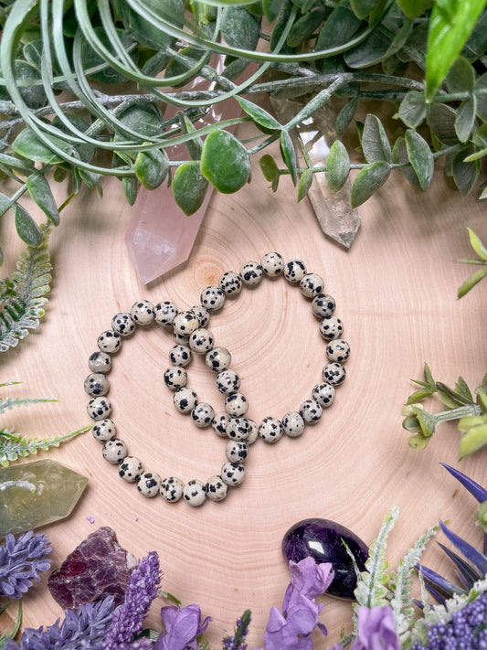 8mm Beaded Dalmatian Jasper Bracelet
